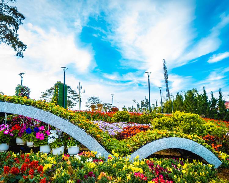 Trọn bộ cẩm nang & kinh nghiệm du lịch Đà Lạt đầy đủ nhất từ A-Z 61 01k3nhbh7jgkstb0pn1v8hv781