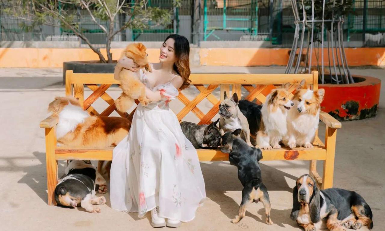 50+ Địa Điểm Du Lịch Đà Lạt Nổi Tiếng 134 Vé tham quan Nông trại cún Puppy Farm Đà Lạt - Traveloka