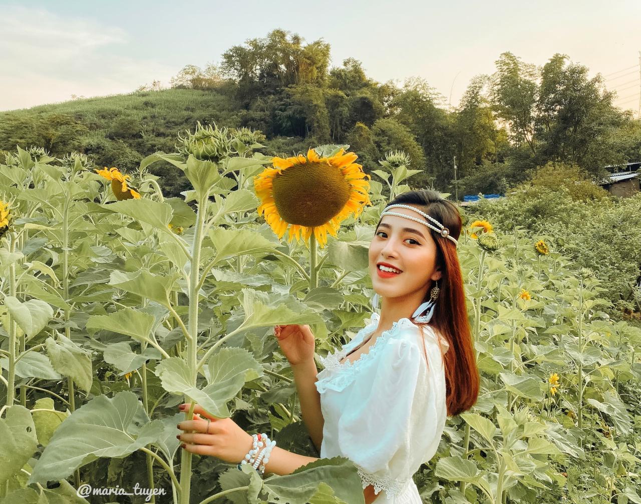 Kinh nghiệm du lịch Mộc Châu chi tiết A-Z năm 2026 40 45 8300 1589364491 2414 1651122665