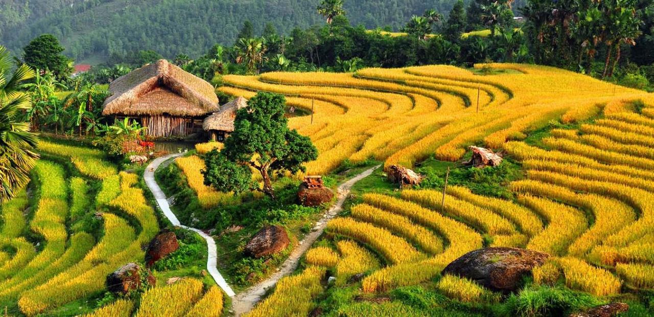 Bản Tả Phìn Sapa hòa mình vào vẻ đẹp tự nhiên và văn hóa dân tộc