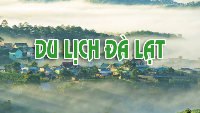 Trọn bộ cẩm nang & kinh nghiệm du lịch Đà Lạt đầy đủ nhất từ A-Z 295 Du lich Da Lat