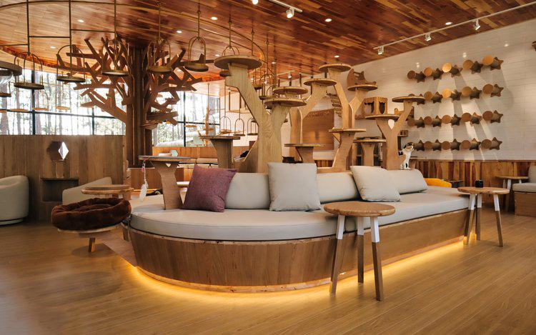 50+ Địa Điểm Du Lịch Đà Lạt Nổi Tiếng 176 Pawsome Haven