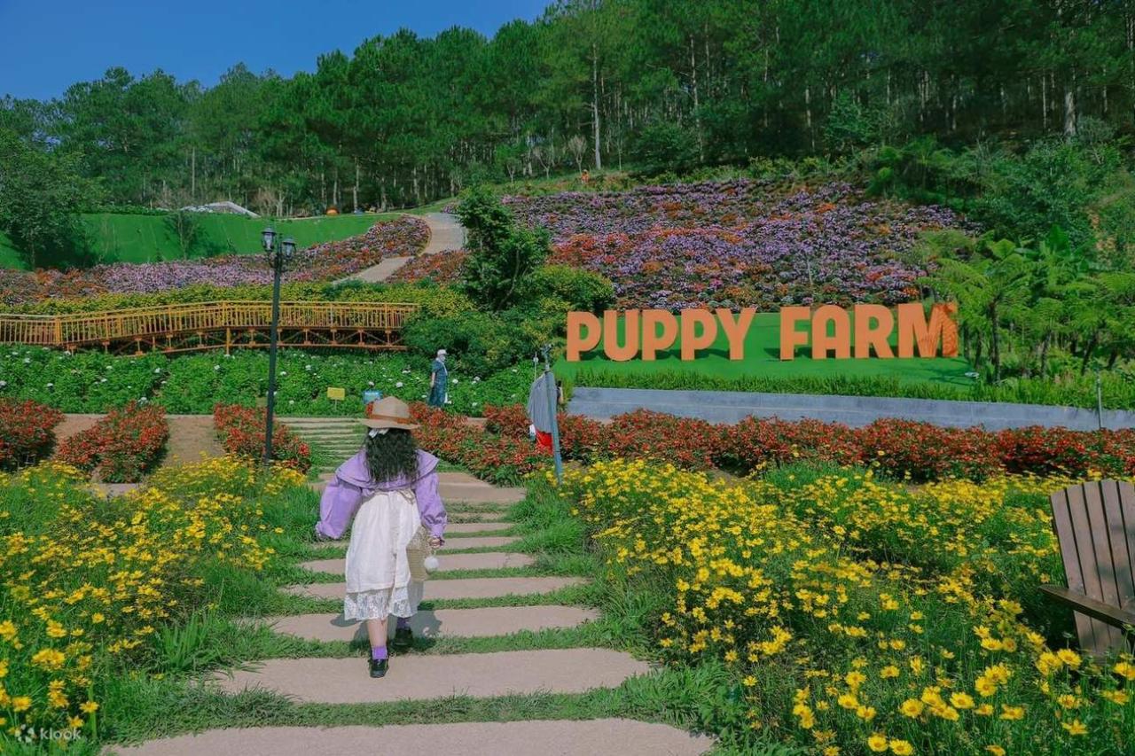 Trọn bộ cẩm nang & kinh nghiệm du lịch Đà Lạt đầy đủ nhất từ A-Z 80 Vé Tham Quan Nông Trại Cún Puppy Farm Đà Lạt - Klook Việt Nam