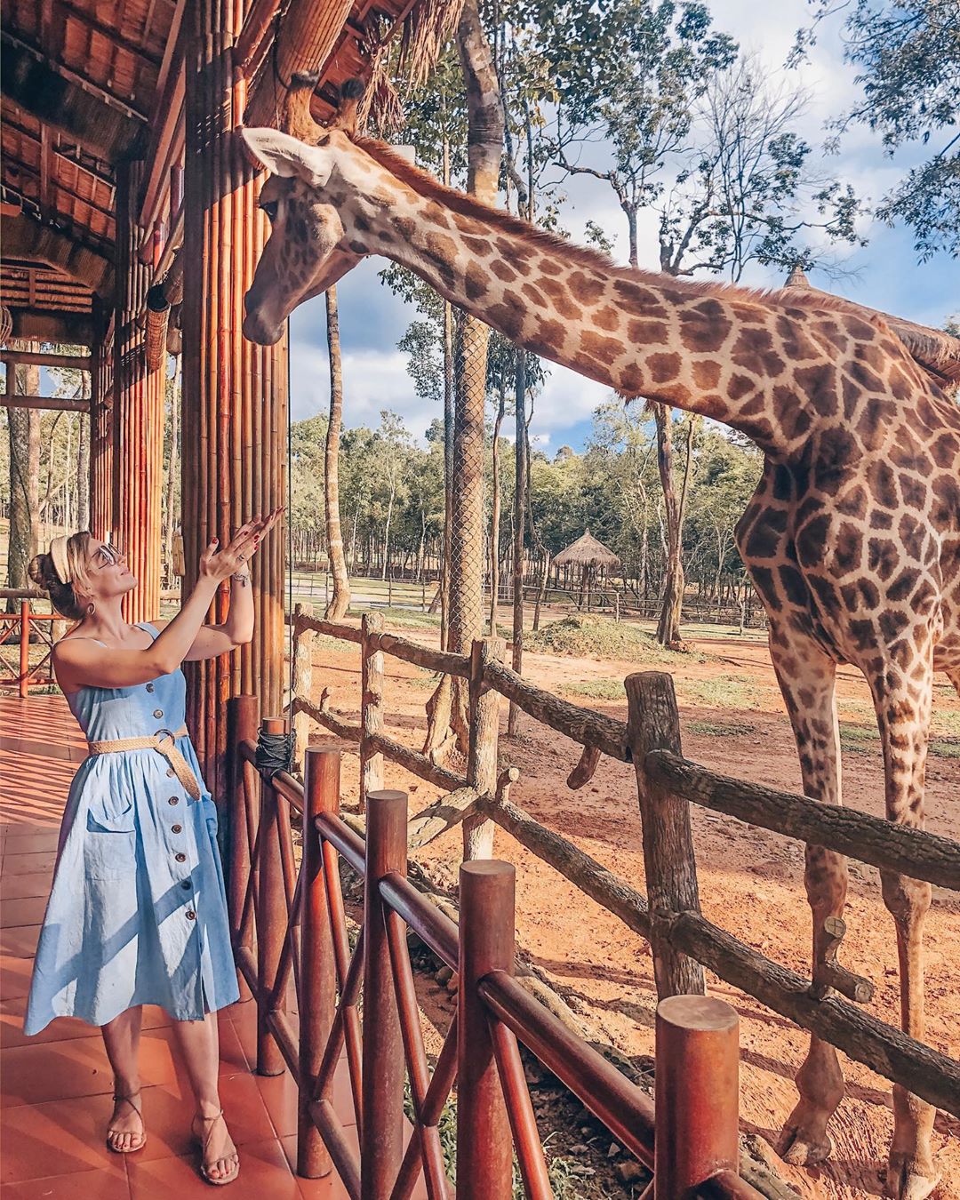 Top 10 Địa Điểm Du Lịch Phú Quốc Không Thể Bỏ Qua 30 Vinpearl Safari Phú Quốc - Địa điểm du lịch Phú Quốc tuyệt vời