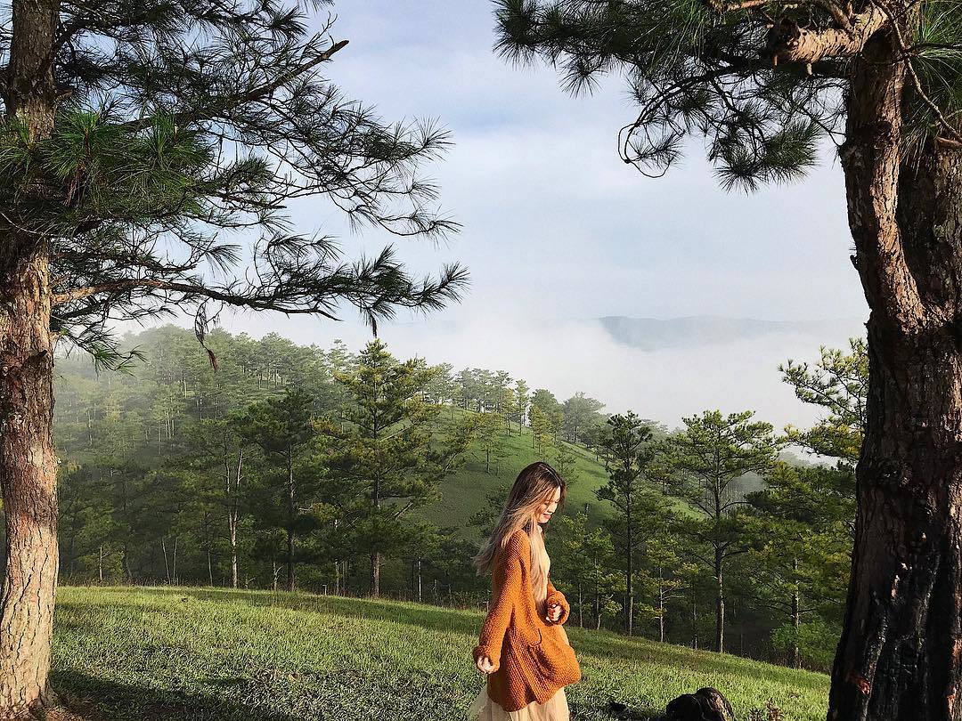 50+ Địa Điểm Du Lịch Đà Lạt Nổi Tiếng 129 Đồi Robin Đà Lạt: Vị trí, đường đi và các hoạt động nổi bật