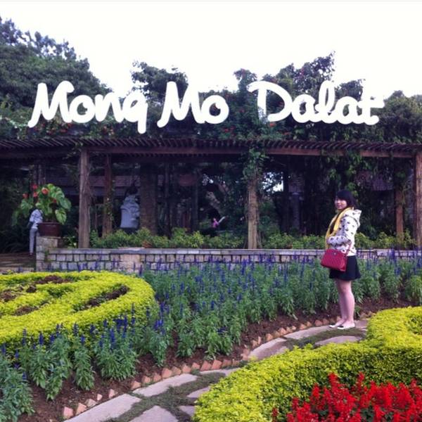 50+ Địa Điểm Du Lịch Đà Lạt Nổi Tiếng 161 Đồi mộng mơ Đà Lạt - Điểm “sống ảo” lý tưởng cho mọi du khách
