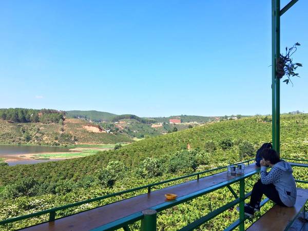 50+ Địa Điểm Du Lịch Đà Lạt Nổi Tiếng 142 Mê Linh Coffee Garden – Quán cà phê có view đẹp ngất ngây ở Đà Lạt