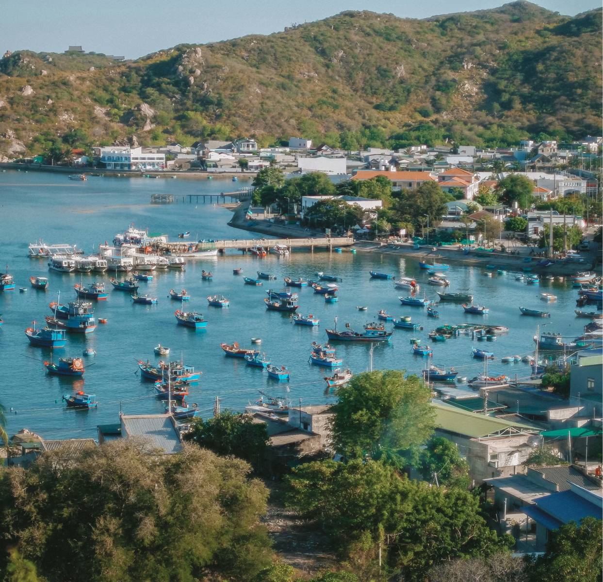 review vinh hy ninh thuan 9 1