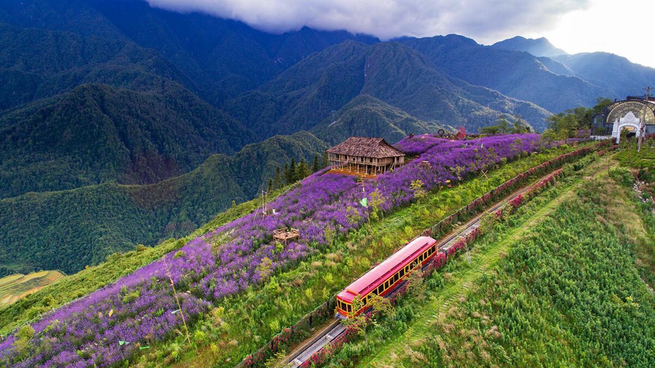 Cẩm nang du lịch Sapa chi tiết A - Z mới nhất 54 Trải nghiệm du lịch thung lũng Mường Hoa – Tuyệt tác thiên nhiên giữa lòng Sapa