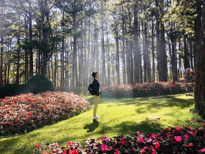 50+ Địa Điểm Du Lịch Đà Lạt Nổi Tiếng 163 Thung Lũng Vàng Đà Lạt - Cẩm nang du lịch mới nhất A-Z