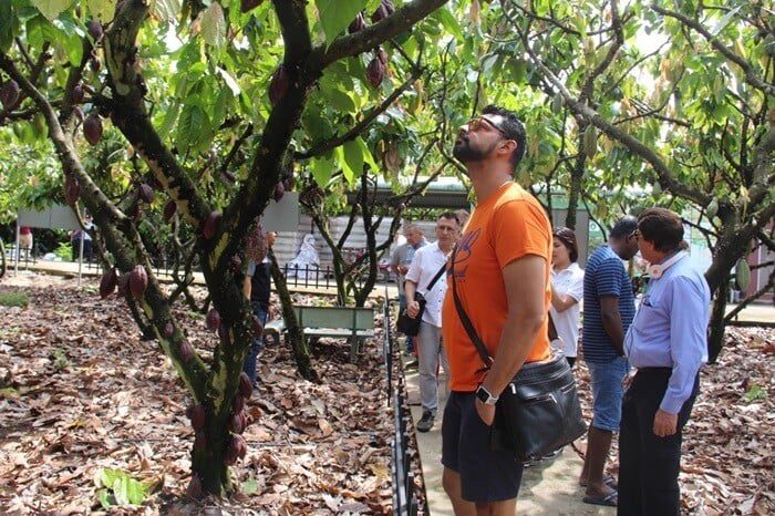 Vườn cacao Mười Cương: Điểm du lịch Cần Thơ hấp dẫn