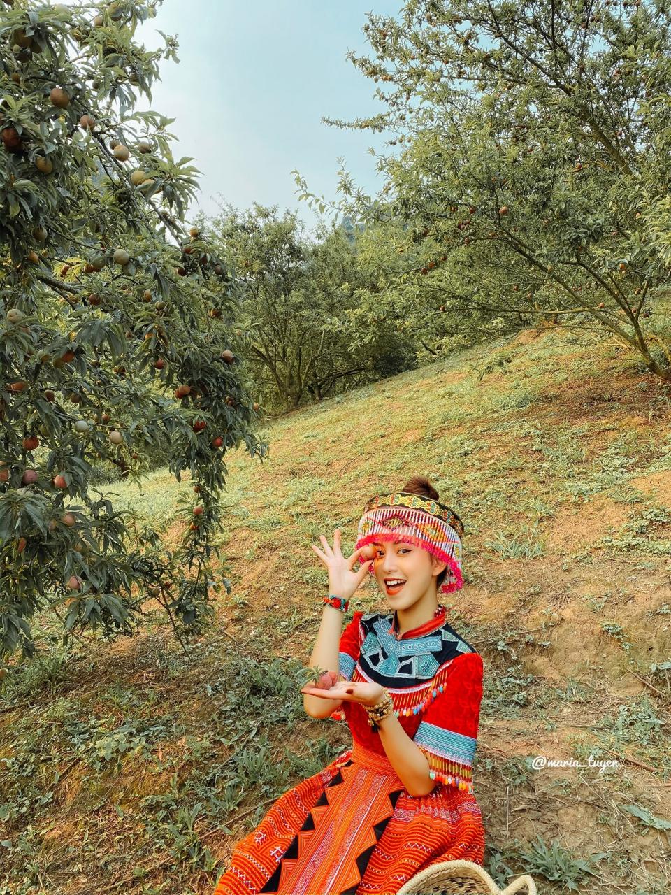 Kinh nghiệm du lịch Mộc Châu chi tiết A-Z năm 2026 38 vuon-man-Mu-Nau-3661-1589357753.jpg