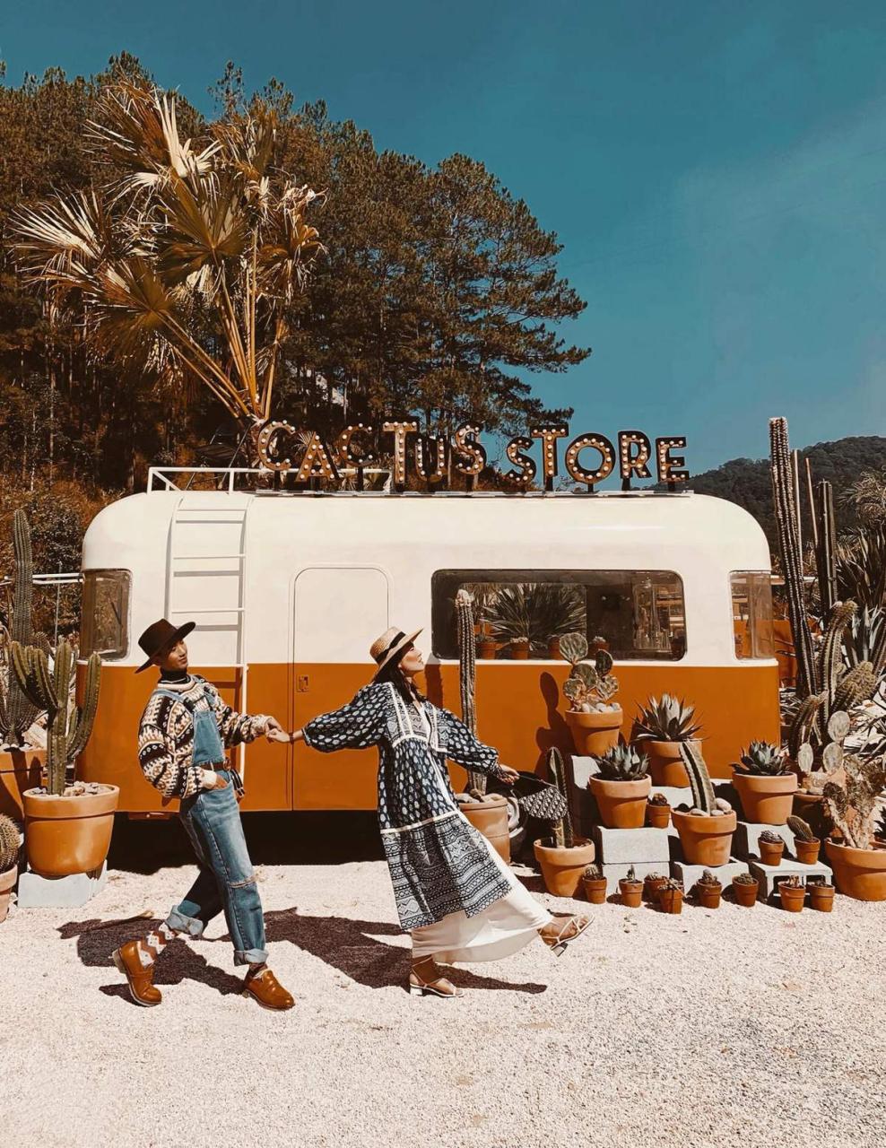 50+ Địa Điểm Du Lịch Đà Lạt Nổi Tiếng 160 Vương quốc xương rồng Kombi Land độc lạ giữa Đà Lạt