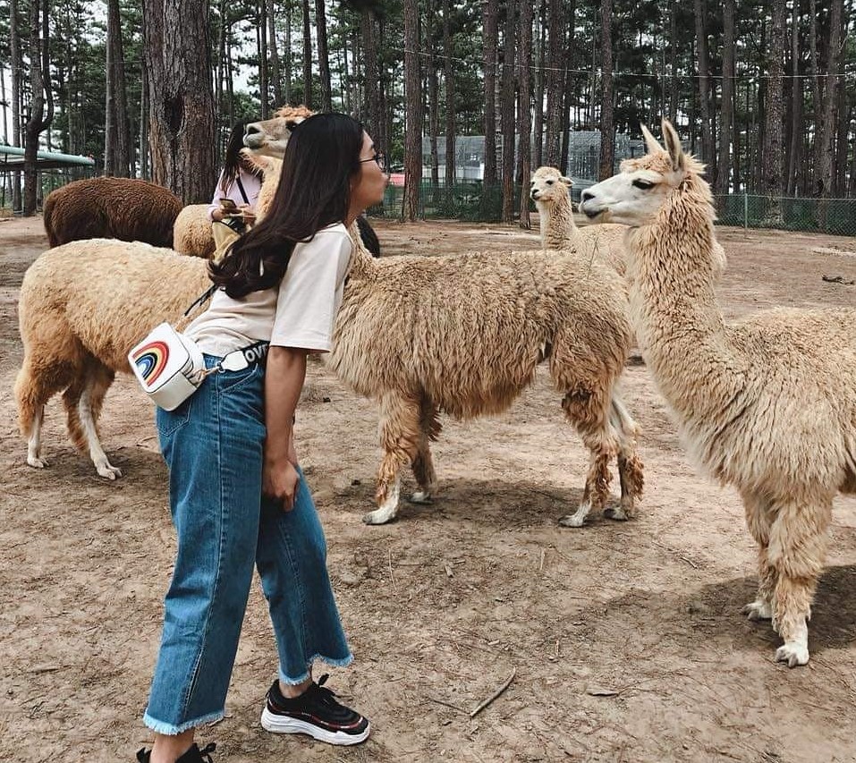 50+ Địa Điểm Du Lịch Đà Lạt Nổi Tiếng 126 Tour Zoodoo Đà Lạt 2025 - Hướng dẫn viên vui vẻ, nhiệt tình