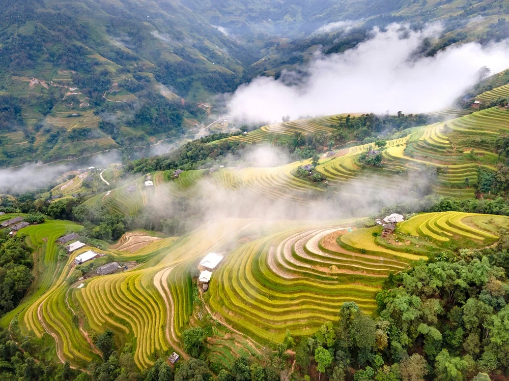 20 Địa Điểm Du Lịch Hà Giang Đẹp Ngỡ Ngàng 46 Ruong Bac Thang Hoang Su Phi