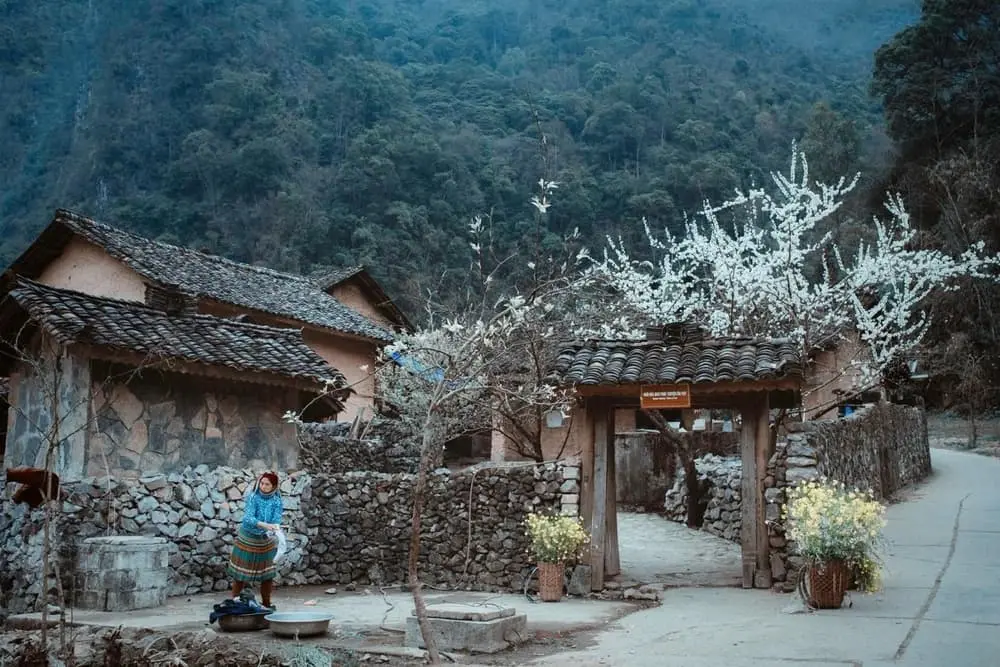 20 Địa Điểm Du Lịch Hà Giang Đẹp Ngỡ Ngàng 59 Phim Truong Nha Cua Pao