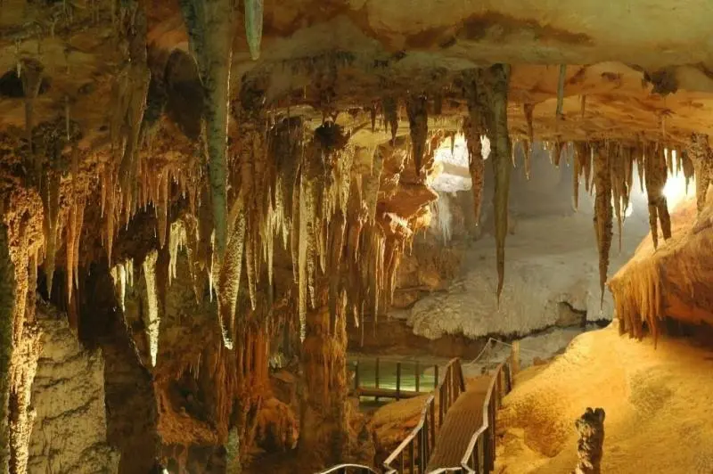 Du lịch Mộc Châu tự túc đầy đủ chi tiết Du lịch Mộc Châu tự túc đầy đủ chi tiết