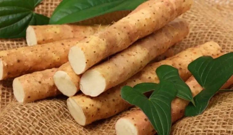 Những món đặc sản Chùa Hương nên mua về làm quà cho người thân