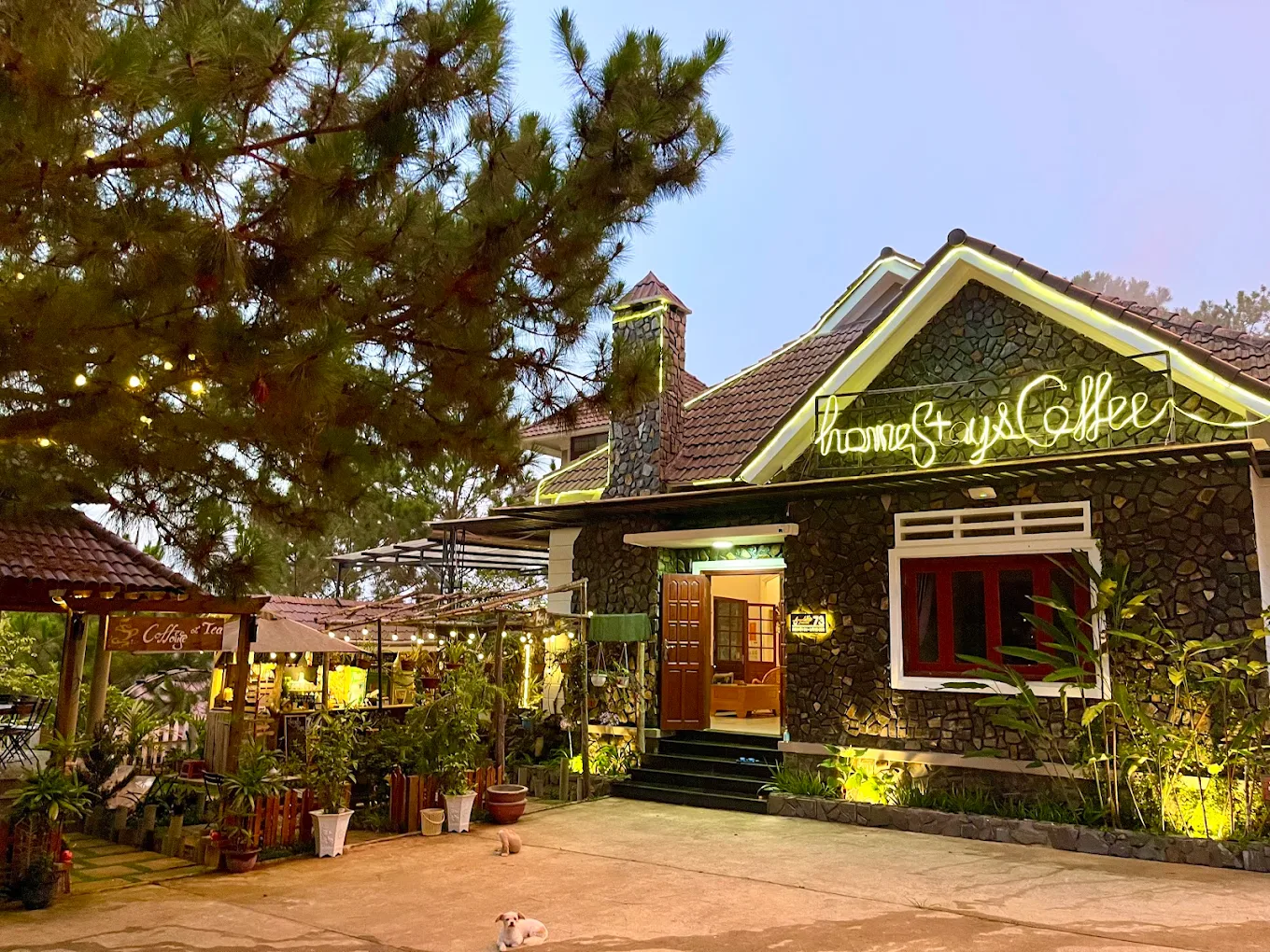Review Top 10 Homestay Măng Đen view rừng thông giá rẻ đẹp như Đà Lạt 4 Angels Homestay Coffee