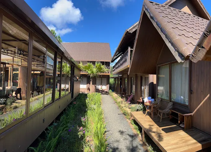 Review Top 10 Homestay Măng Đen view rừng thông giá rẻ đẹp như Đà Lạt Review Top 10 Homestay Măng Đen view rừng thông giá rẻ đẹp như Đà Lạt