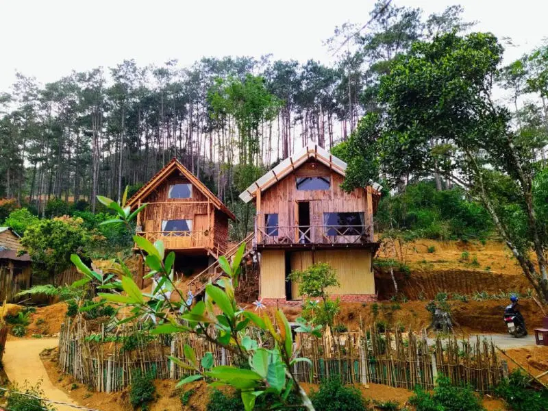 Review Top 10 Homestay Măng Đen view rừng thông giá rẻ đẹp như Đà Lạt Review Top 10 Homestay Măng Đen view rừng thông giá rẻ đẹp như Đà Lạt