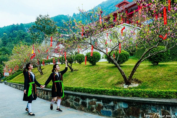 Kinh nghiệm đi Tây Thiên: Cẩm nang hành hương và du lịch tâm linh chi tiết từ A–Z 6 tour du lich tay thien