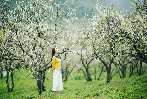 Du lich moc chau tu tuc