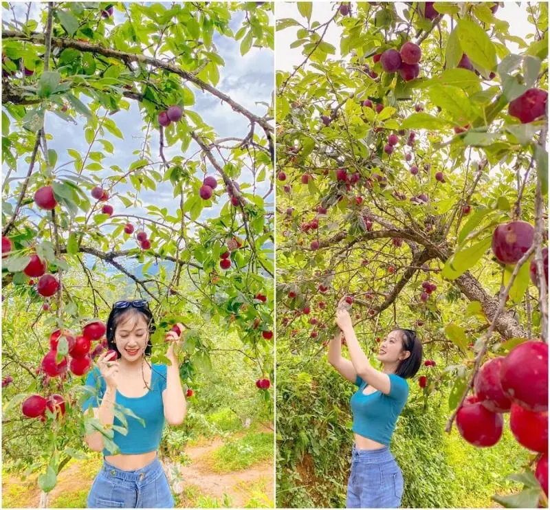 Sapa Đi Tháng Mấy Đẹp? Kinh Nghiệm Chọn Thời Điểm Lý Tưởng 27 Sapa Đi Tháng Mấy Đẹp? Kinh Nghiệm Chọn Thời Điểm Lý Tưởng