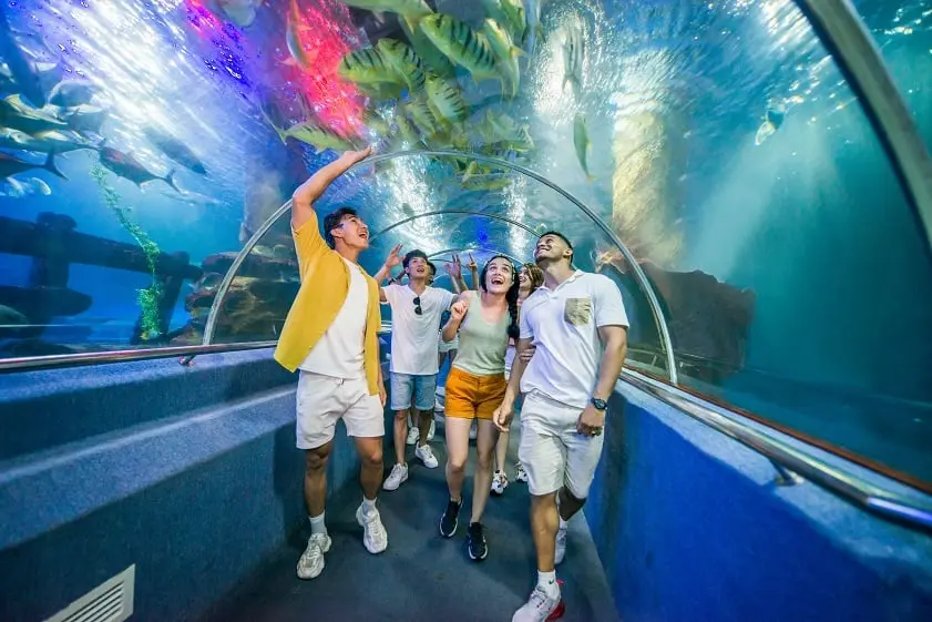 Nha Trang Co Gi Choi