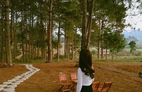 Lịch Trình Du Lịch Mộc Châu 2 Ngày 1 Đêm Từ Hà Nội
