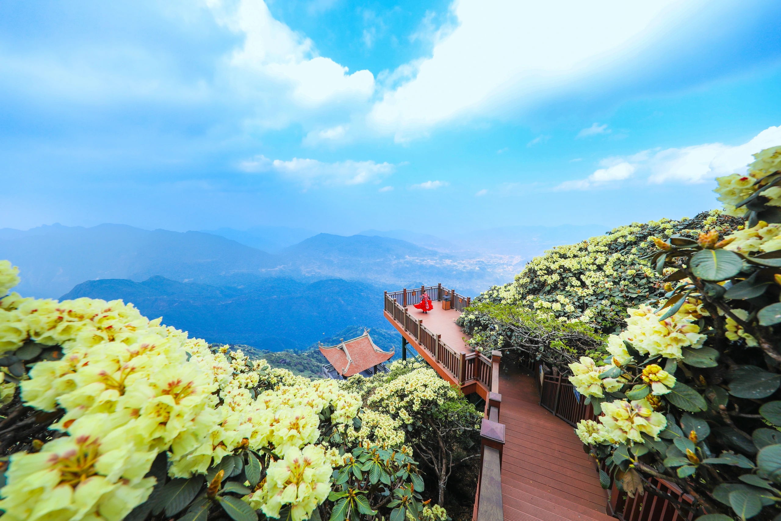 Sapa Đi Tháng Mấy Đẹp? Kinh Nghiệm Chọn Thời Điểm Lý Tưởng 31 Thuong thuc Hoa Do Quyen