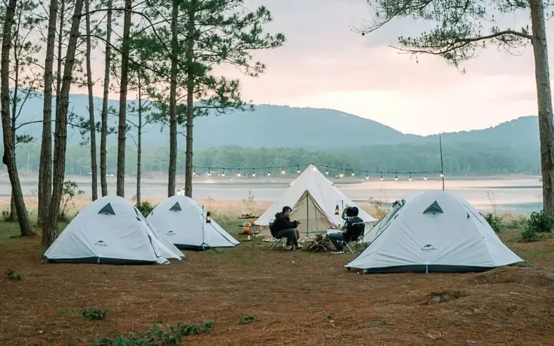 Review Những Khu Glamping Sapa Săn Mây Cực Đỉnh 2026 Review Những Khu Glamping Sapa Săn Mây Cực Đỉnh 2026