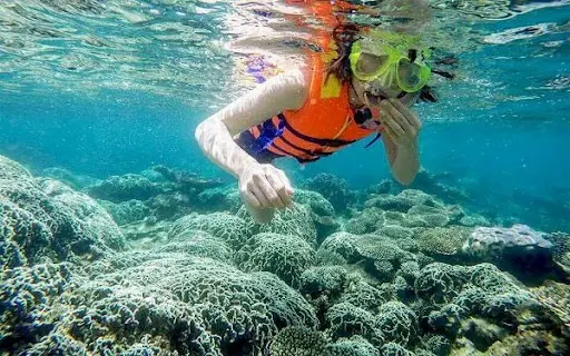 Cẩm nang du lịch Cù Lao Chàm: Ăn gì, chơi đâu và ở đâu? Cẩm nang du lịch Cù Lao Chàm: Ăn gì, chơi đâu và ở đâu?