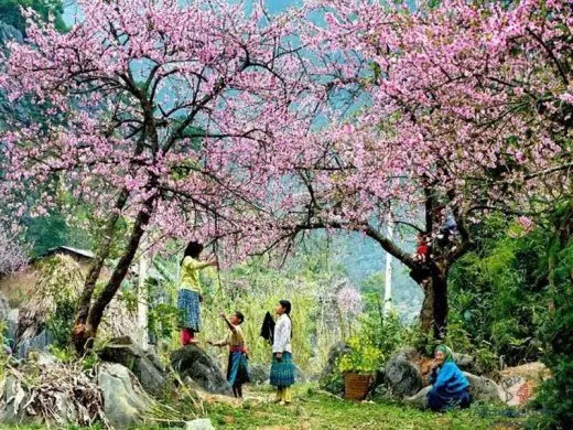 Sapa Đi Tháng Mấy Đẹp? Kinh Nghiệm Chọn Thời Điểm Lý Tưởng 22 Sapa Đi Tháng Mấy Đẹp? Kinh Nghiệm Chọn Thời Điểm Lý Tưởng