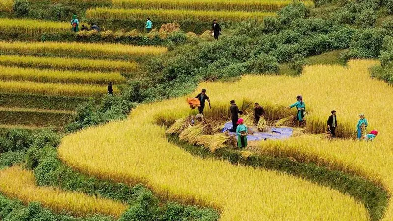 Sapa Đi Tháng Mấy Đẹp? Kinh Nghiệm Chọn Thời Điểm Lý Tưởng 28 Sapa Đi Tháng Mấy Đẹp? Kinh Nghiệm Chọn Thời Điểm Lý Tưởng
