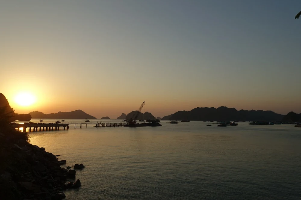 Kinh nghiệm du Lịch Cát Bà 2 Ngày 1 Đêm Tự Túc Chi Tiết 26 Tận Hưởng Biển Đêm khi du lịch Cát Bà 2 ngày 1 đêm