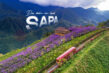 Dia diem du lich Sapa