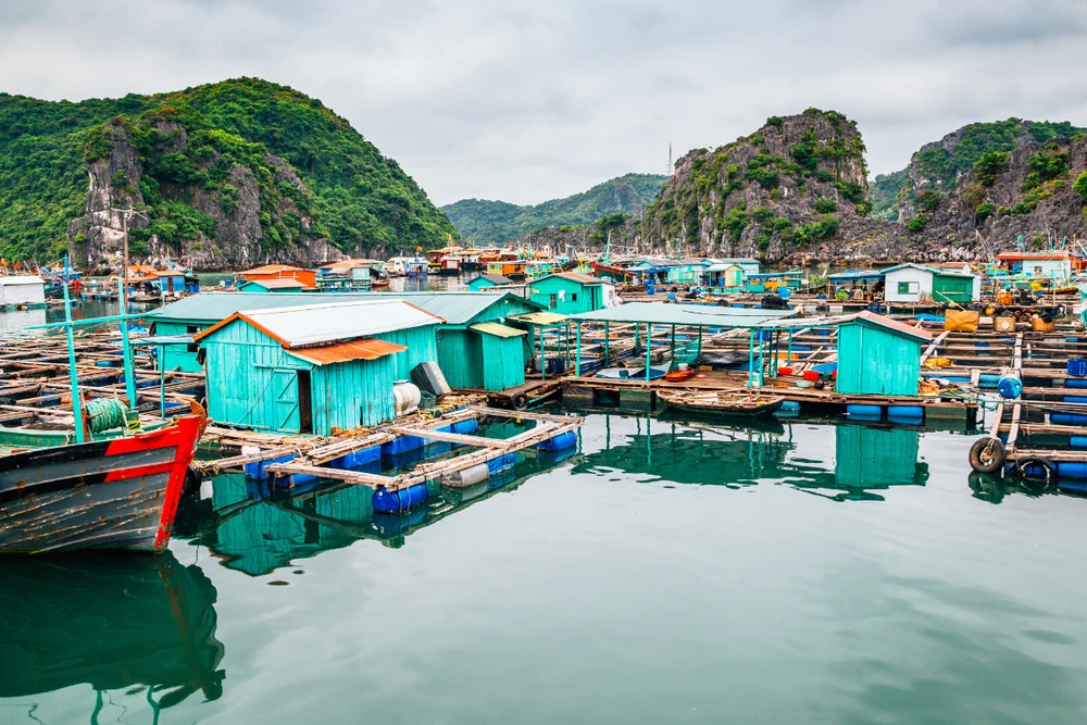 Kinh nghiệm du Lịch Cát Bà 2 Ngày 1 Đêm Tự Túc Chi Tiết 28 Lang Chai Cai Beo