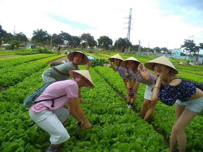 Trọn bộ kinh nghiệm du lịch Hội An: Thời gian, ăn ở, vui chơi 117 Lang rau Tra Que