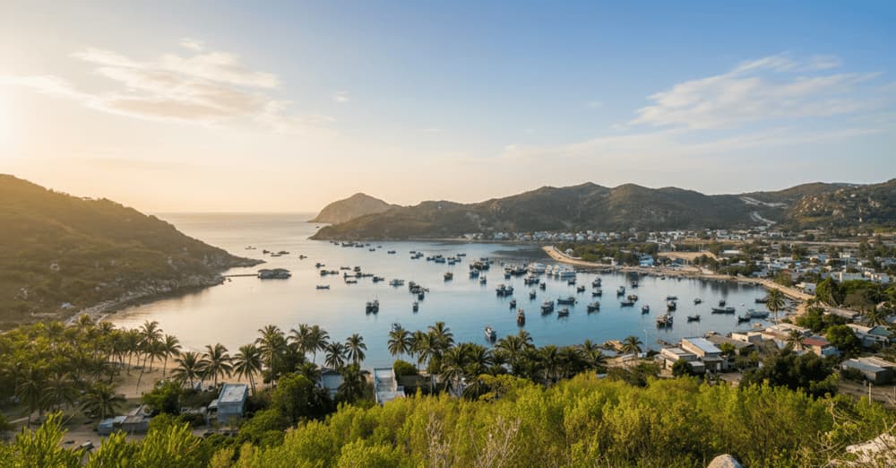 Vinh Vinh Hy tu tren cao 1