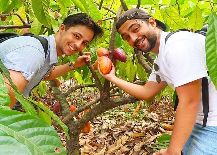 TOP 30+ địa điểm du lịch Cần Thơ HẤP DẪN nhất 2025 71 dia diem du lich can tho 9