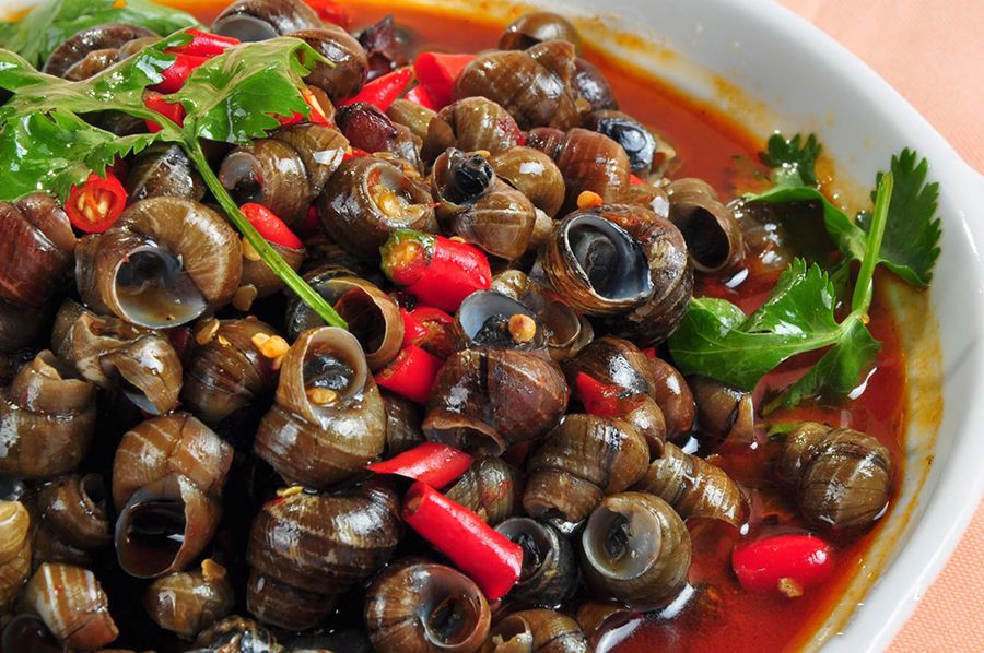 Trọn bộ kinh nghiệm du lịch Hội An: Thời gian, ăn ở, vui chơi 136 Ốc hút, lựa chọn thích hợp cho ngày gió lạnh - Danang Fantasticity ...