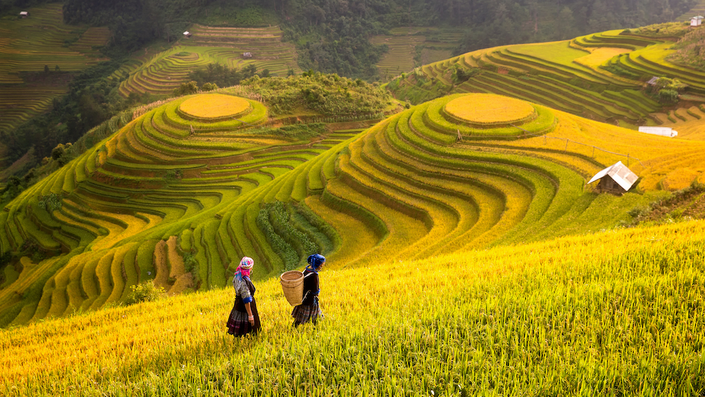 Cẩm nang du lịch Sapa chi tiết A - Z mới nhất 45 Đi Sapa mùa nào đẹp nhất? Thời điểm đi Sapa không nên bỏ lỡ | Vietjet Air