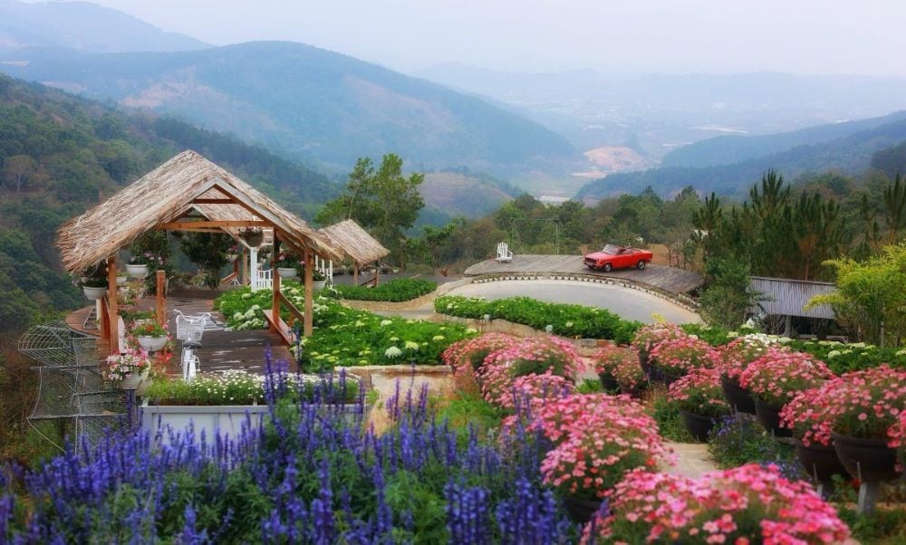 Khám phá Cao Nguyên Hoa Đà Lạt: Giá vé - Trải nghiệm nên thử