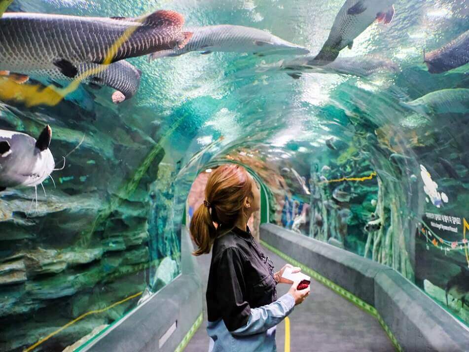 Cẩm nang du lịch Hà Nội chi tiết mới nhất 89 Cách mua vé Thủy Cung Lotte World Aquarium Hà Nội - Vivu Tour