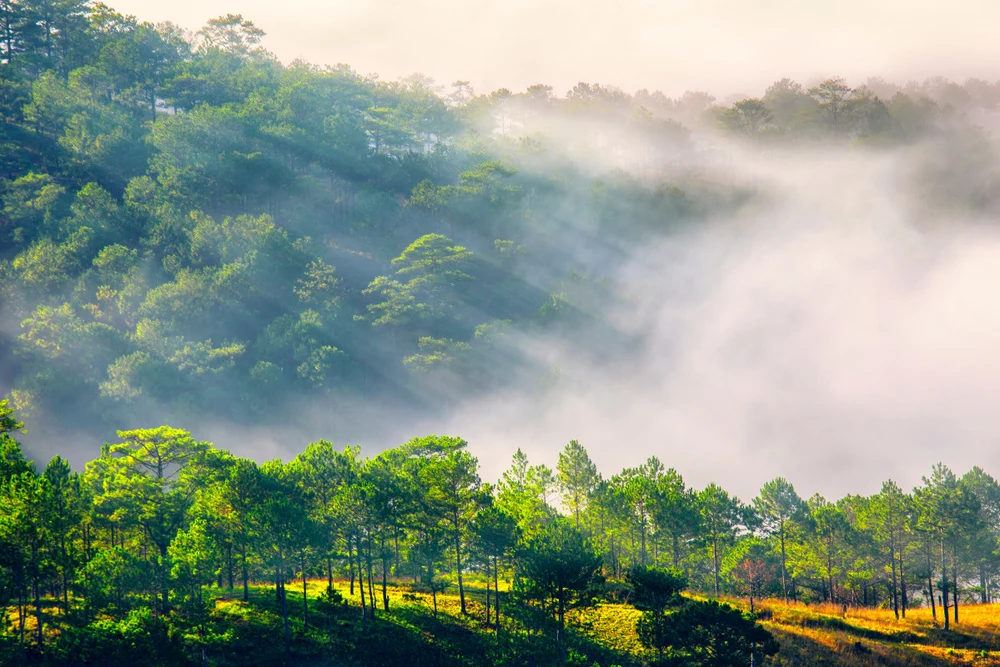 Kinh nghiệm du lịch Đà Lạt tự túc cho người mới 47
