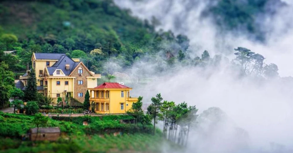 z4l0weprbm9nwg15ydn0